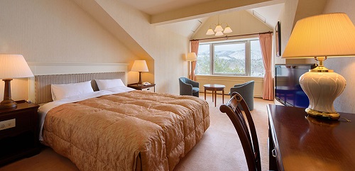 Western style room